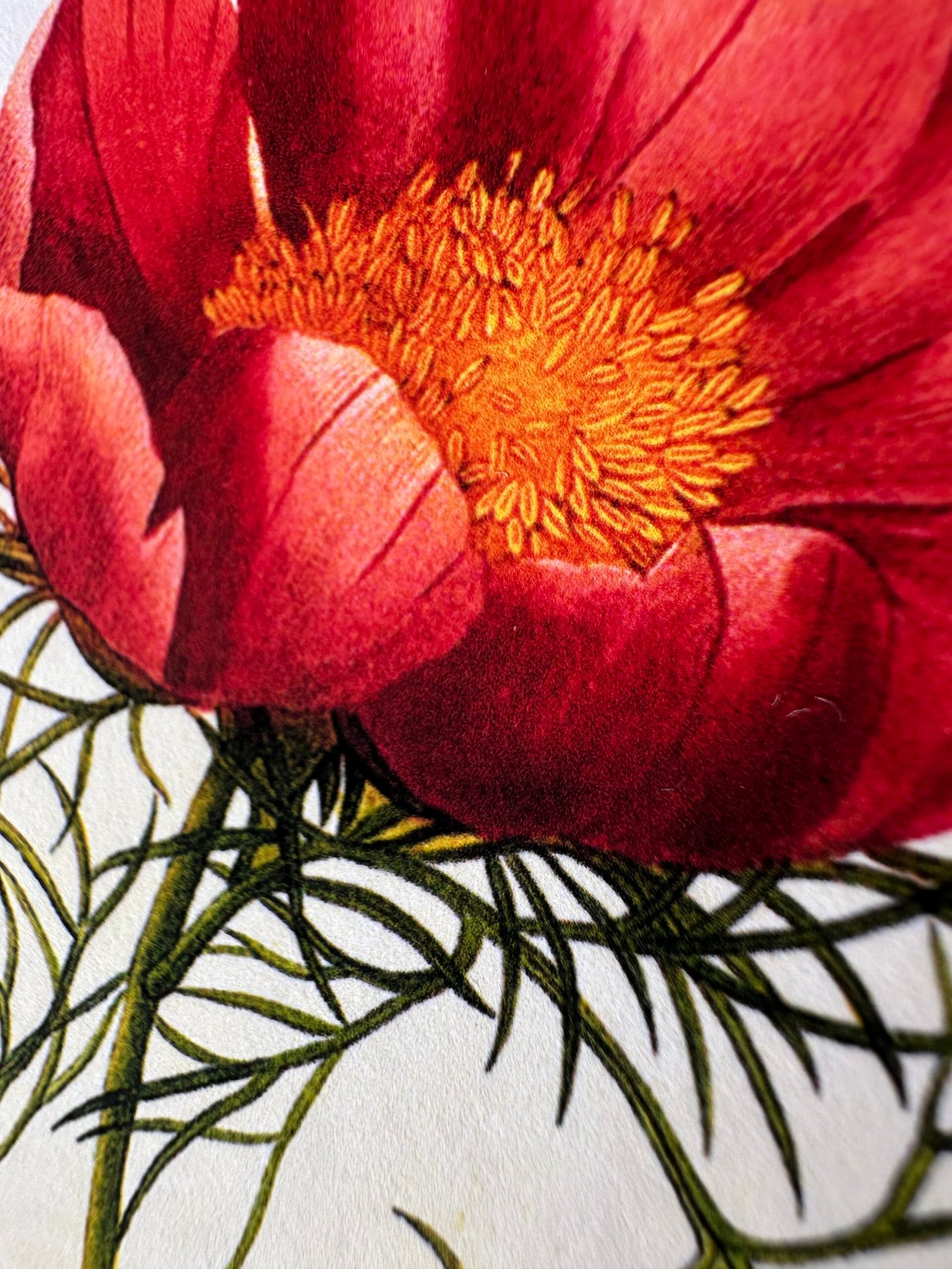 In mỹ thuật trên giấy matte 180gsm